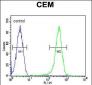 COX10 Antibody (C-term)